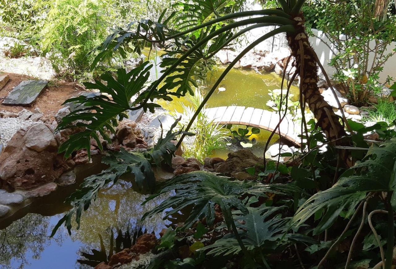 Villa Tortuga ماربيا المظهر الخارجي الصورة
