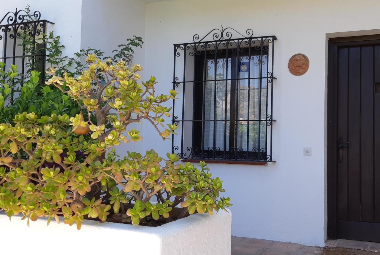 Villa Tortuga ماربيا المظهر الخارجي الصورة