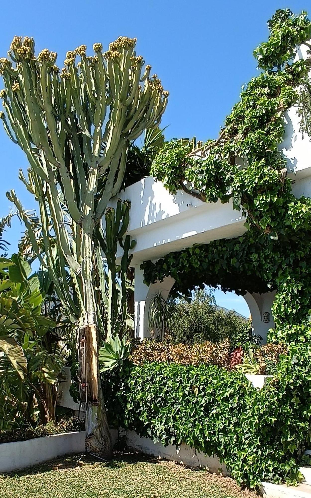 Villa Tortuga ماربيا المظهر الخارجي الصورة
